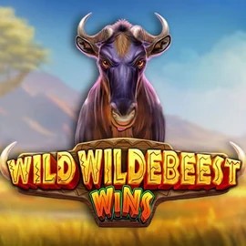 Wild Wildebeest Wins online slot from Pragmatic Play – play at onlyspinskasyno.com